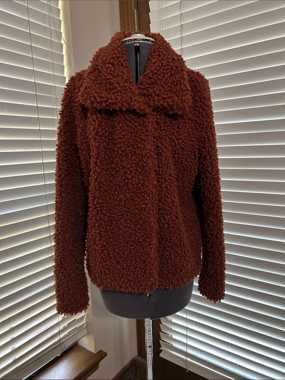 EYESHADOW Plush Teddy Coat - Rust Brown Faux Sherpa Jacket Size Medium NWT